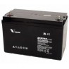 Vision 6FM100Z-X 100Ah 12V AGM Battery